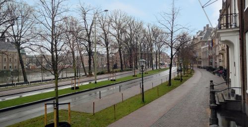 Lange Vijverberg, een groene stedelijke boulevard